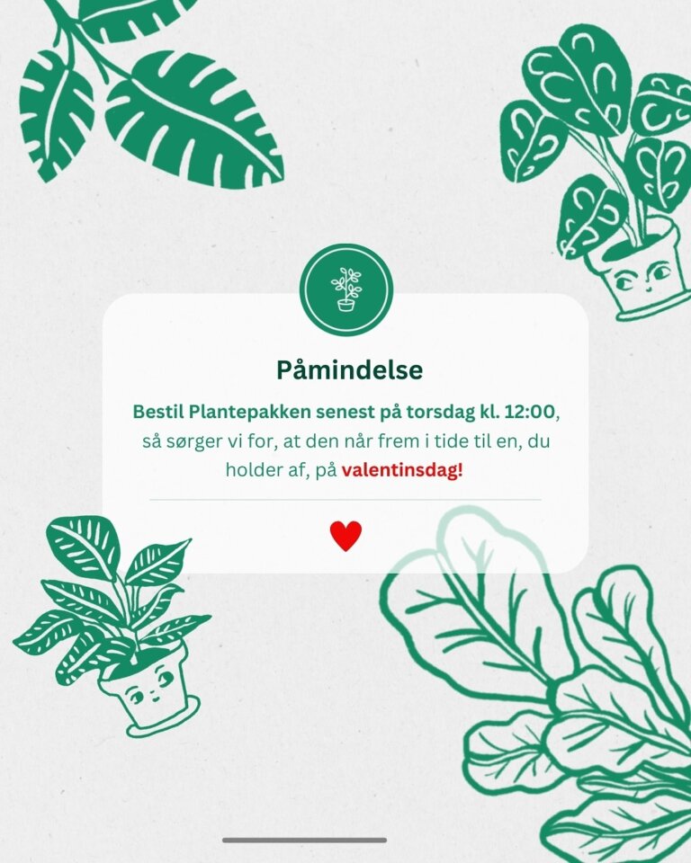 Instagram post from plantepakken. This post is in position 13.