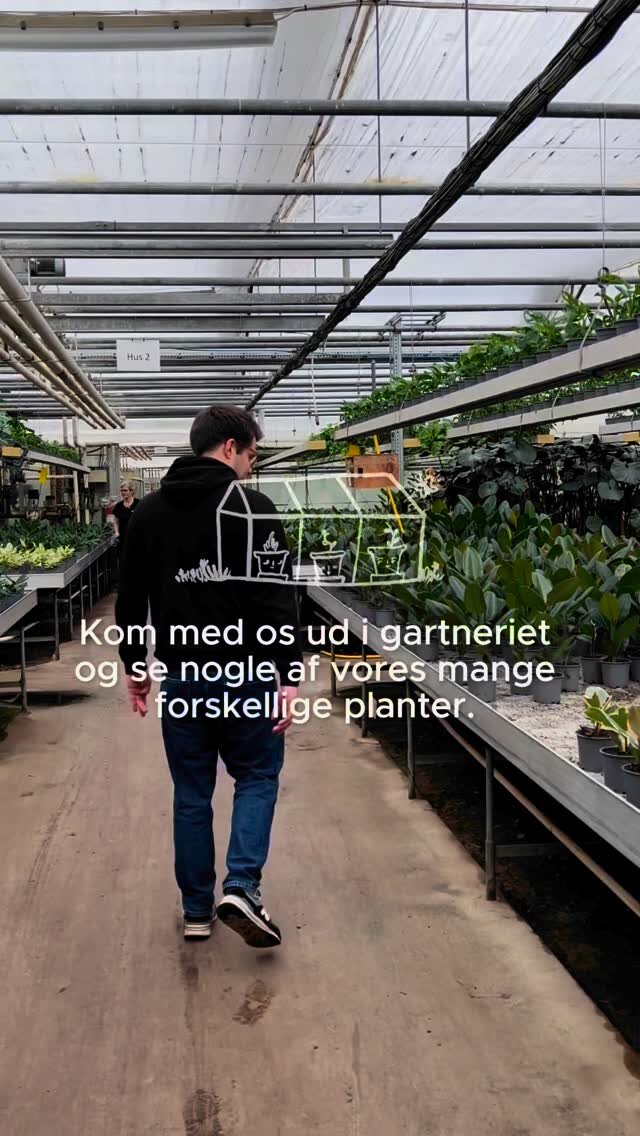 Instagram post from plantepakken. This post is in position 3.