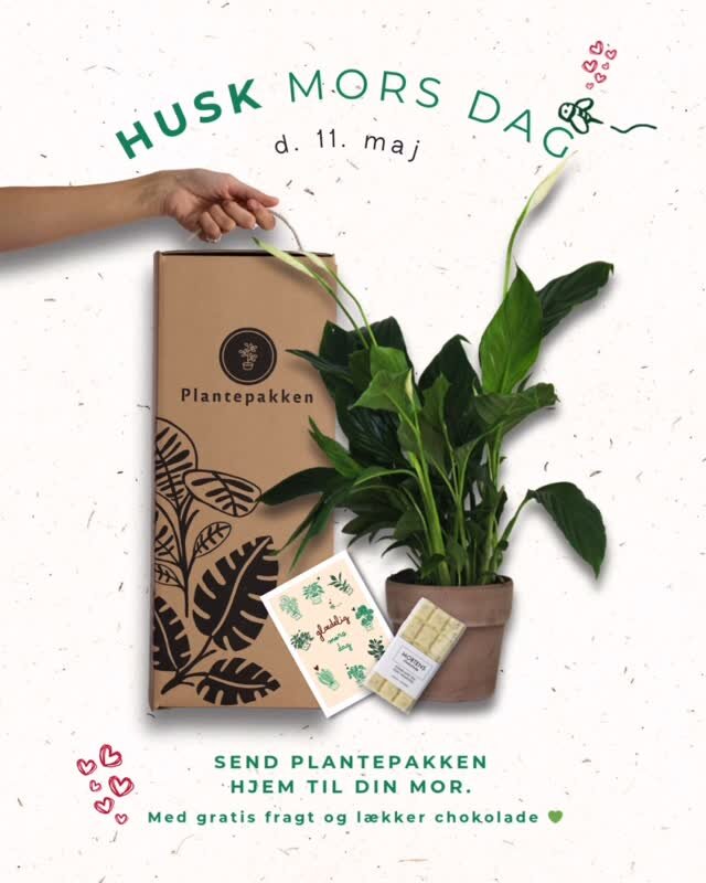 Instagram post from plantepakken. This post is in position 4.