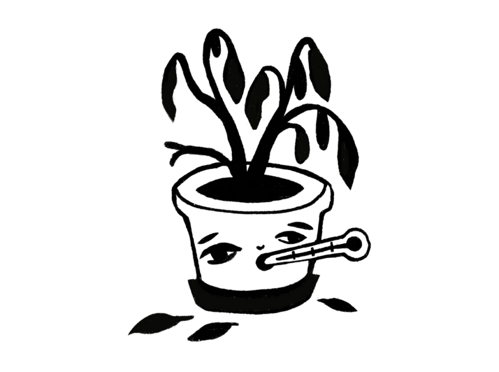 Syg plante illustration - Plantepleje -Plantepakken