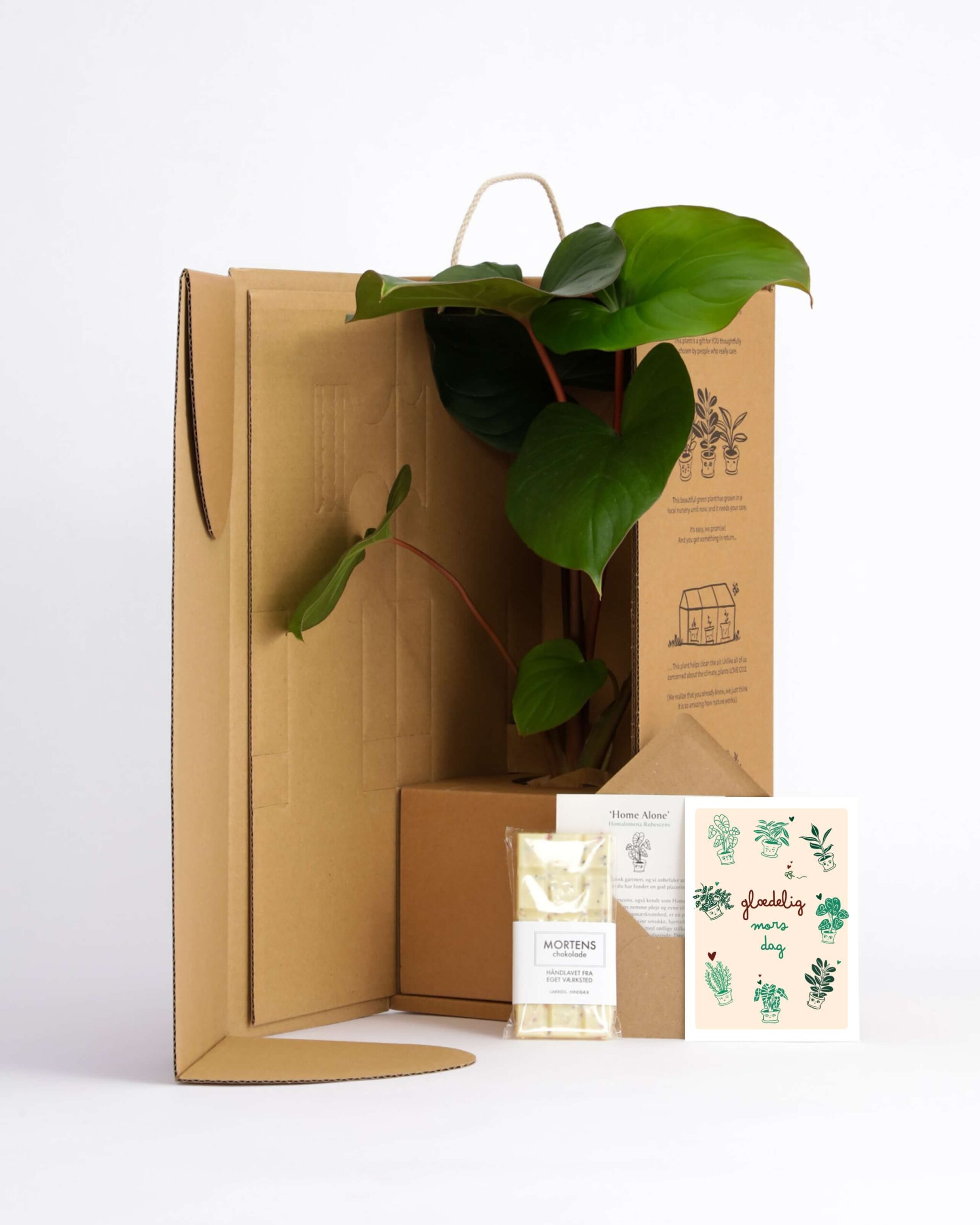 Forkæl din mor med en grøn plante - Mors dag